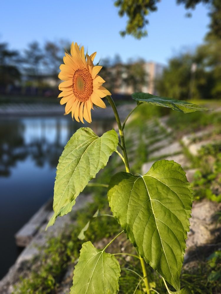 Photograph by Андрей Маркелов
