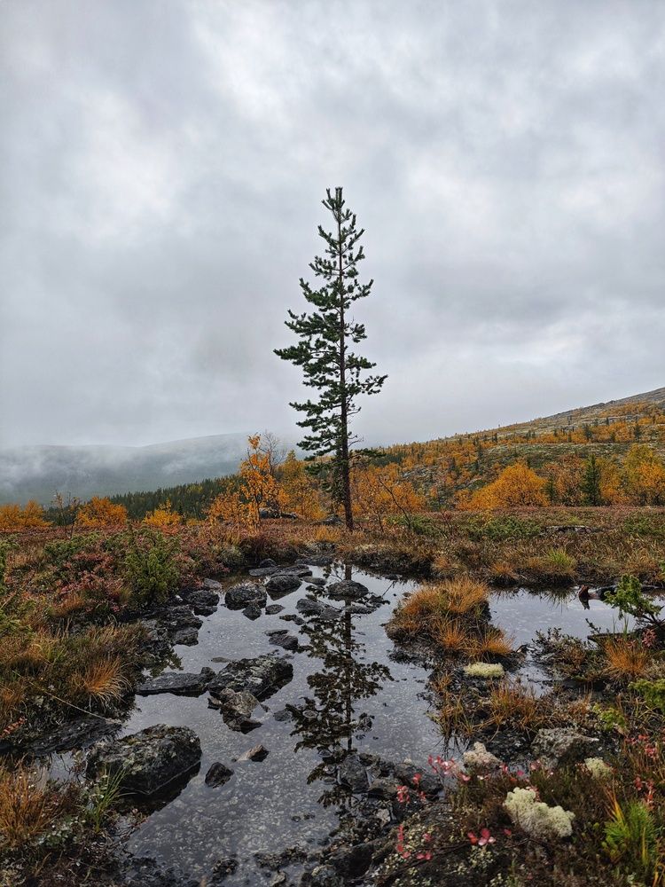 Photograph by Lev Kaufman