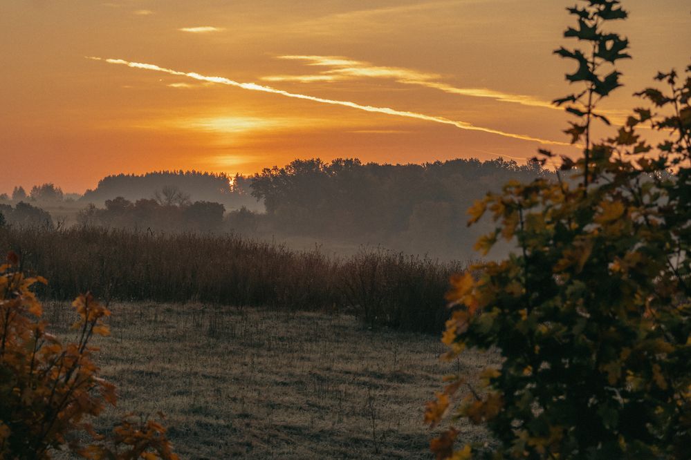 Photograph by Tatiana Shtun