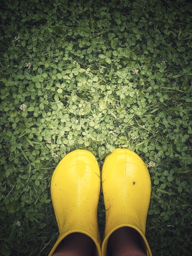 Photograph by Светлана Долганова