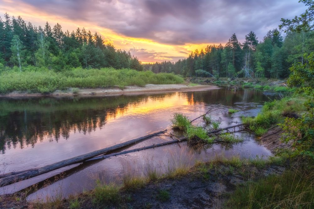 Photograph by Дмитрий Черепков