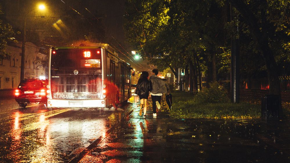 Photograph by Cactusvkadre