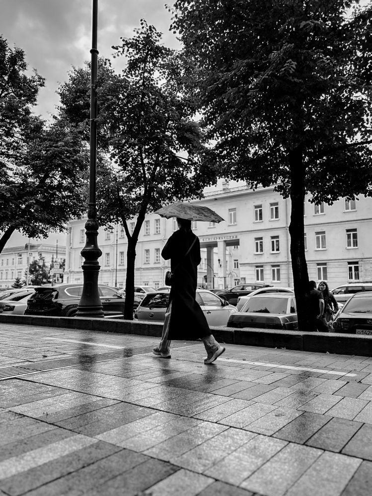 Photograph by Константин Шипицын