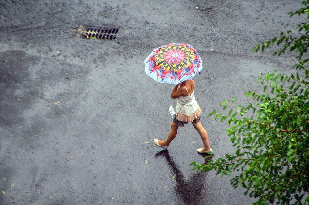 Photograph by Евгений Киселев
