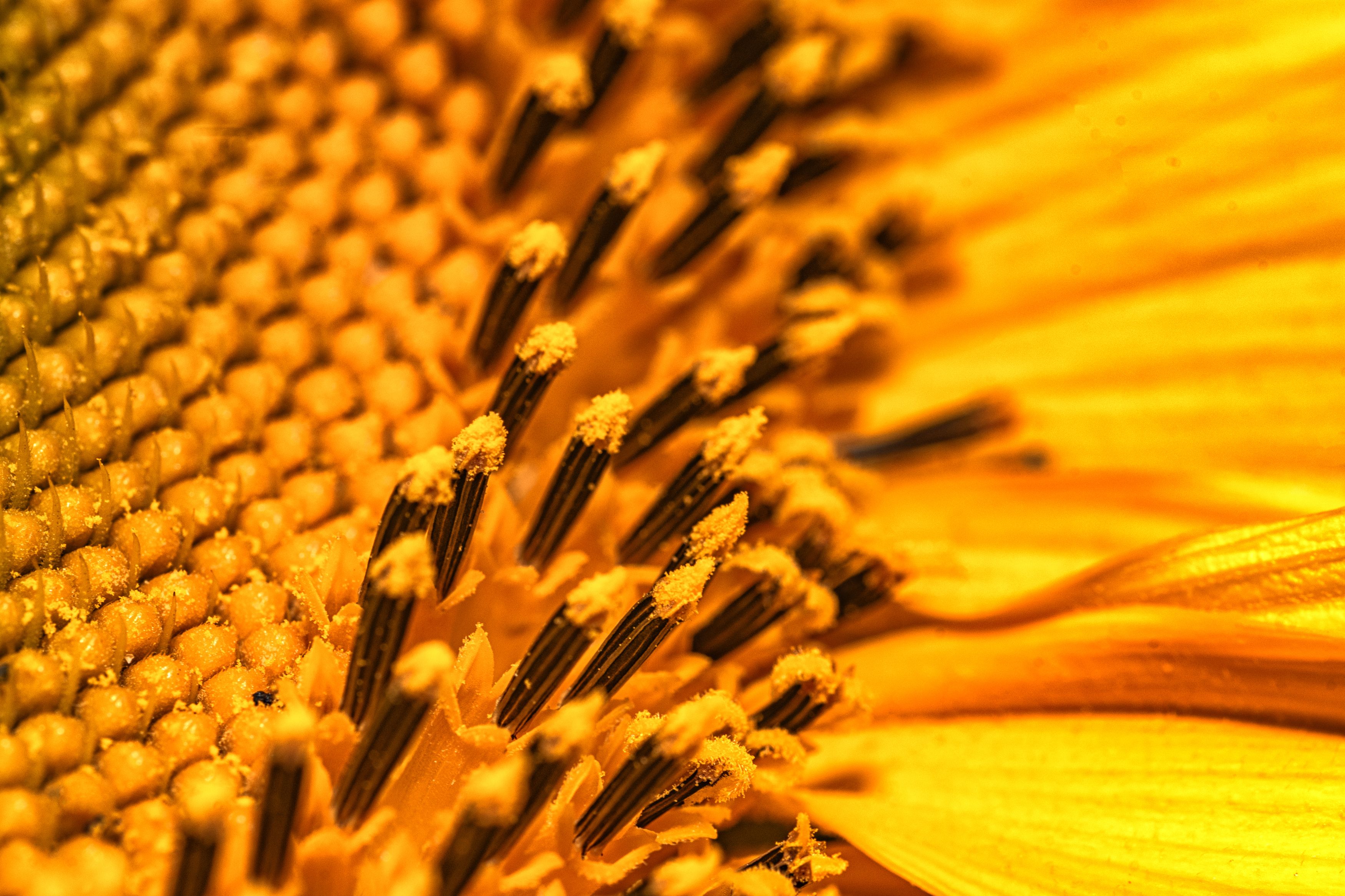 Фотография автора Андрей Жданов