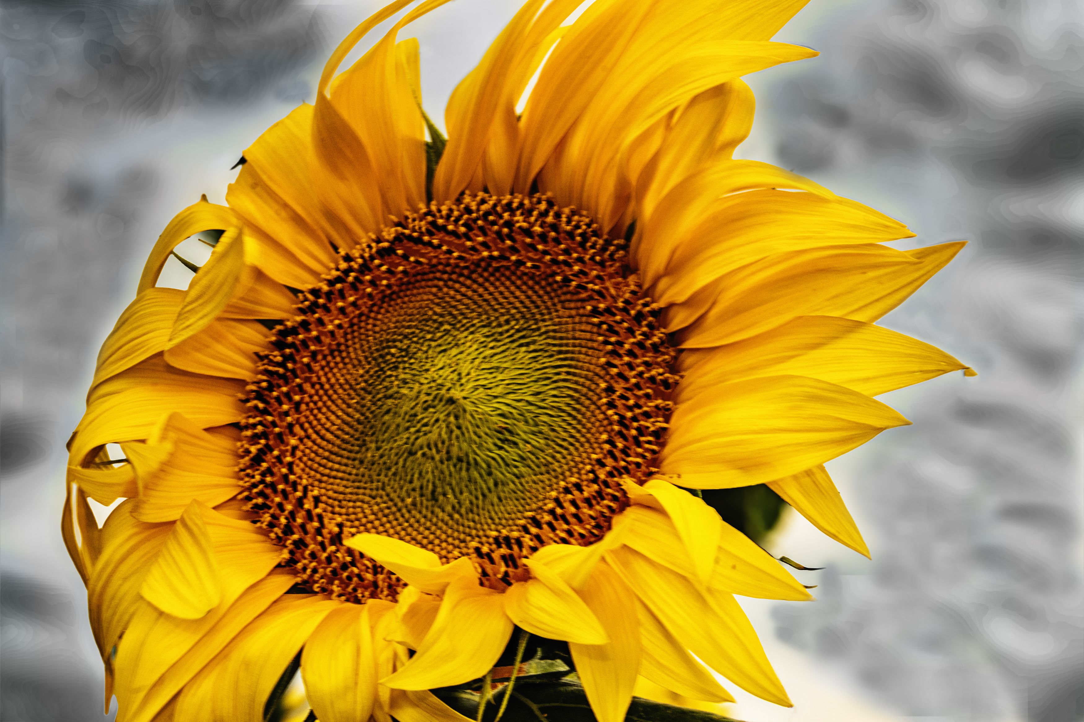 Фотография автора Андрей Жданов