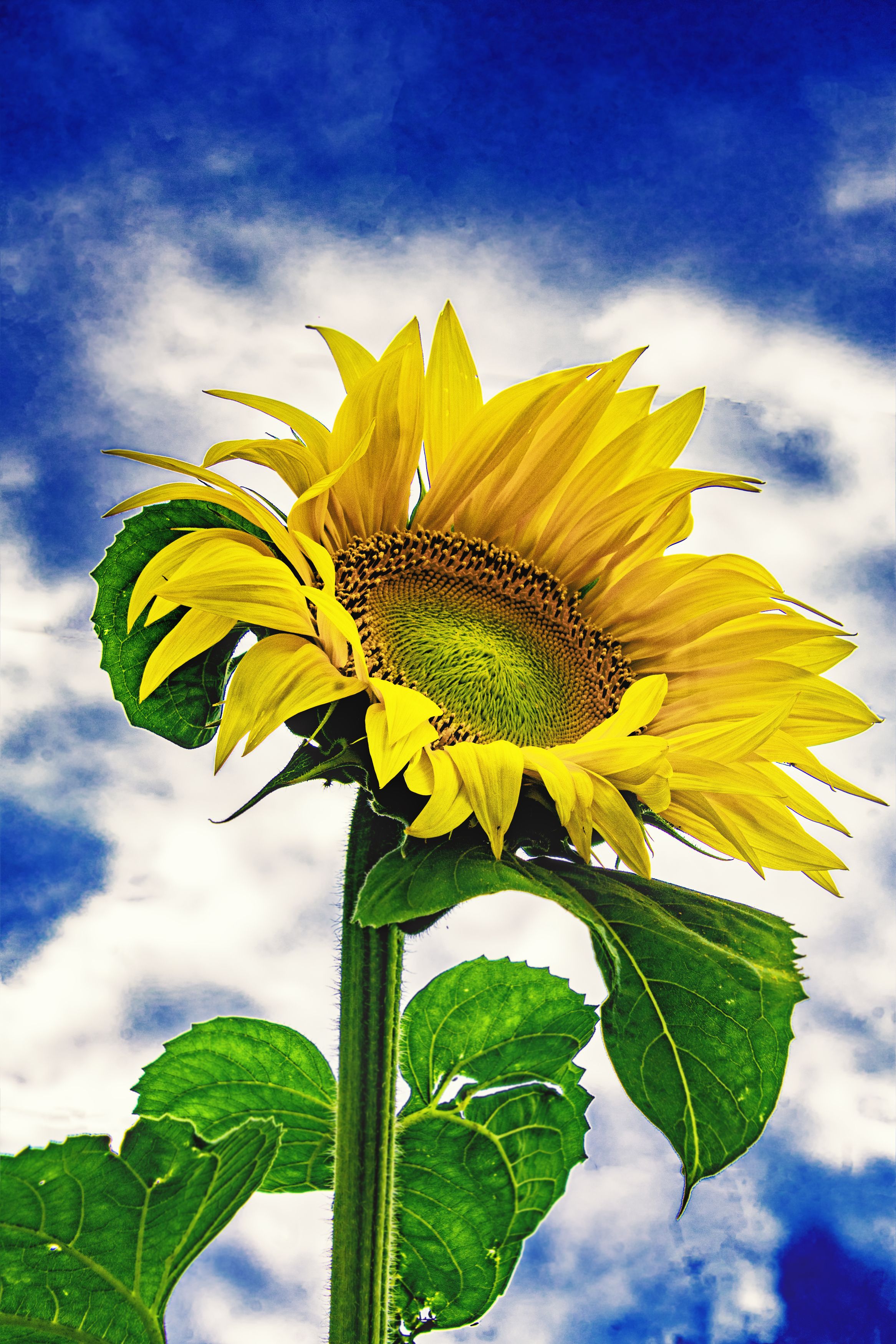 Фотография автора Андрей Жданов