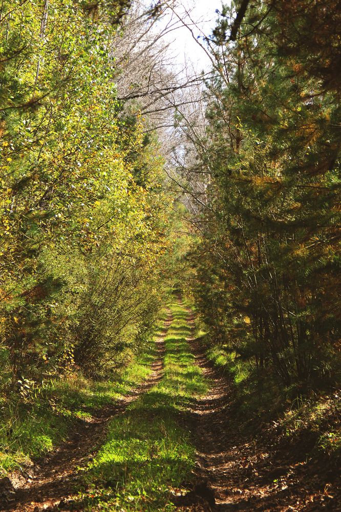 Photograph by Полина Овчинникова