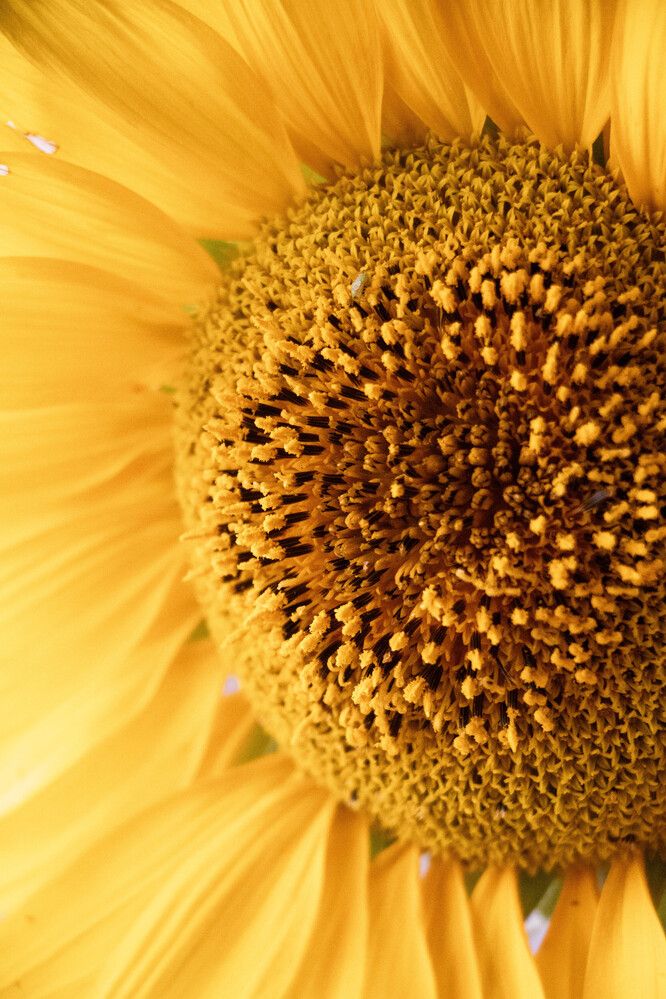 Photograph by Александр Мороз