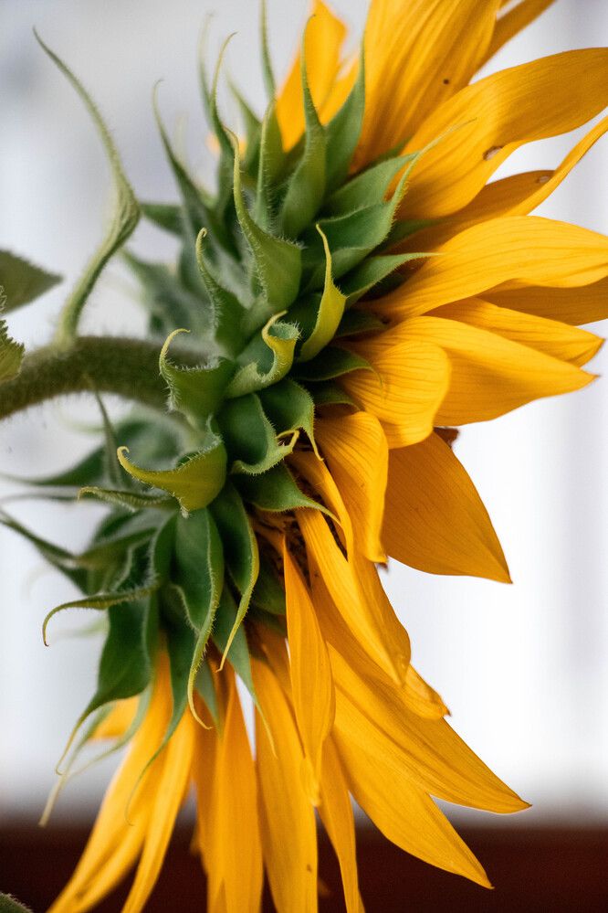 Photograph by Александр Мороз