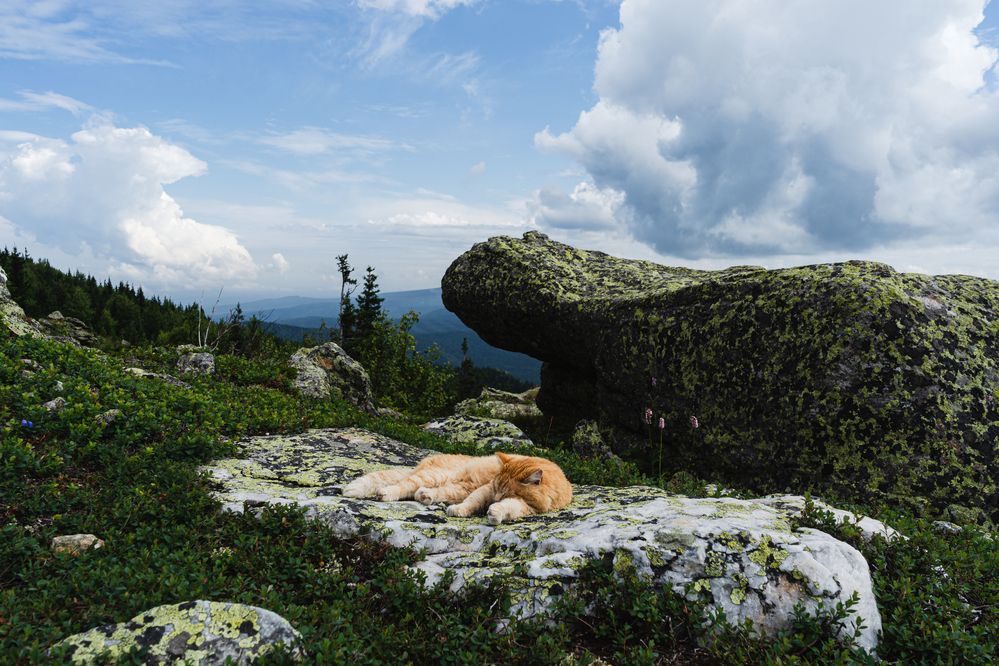 Photograph by Артур Ибрагимов