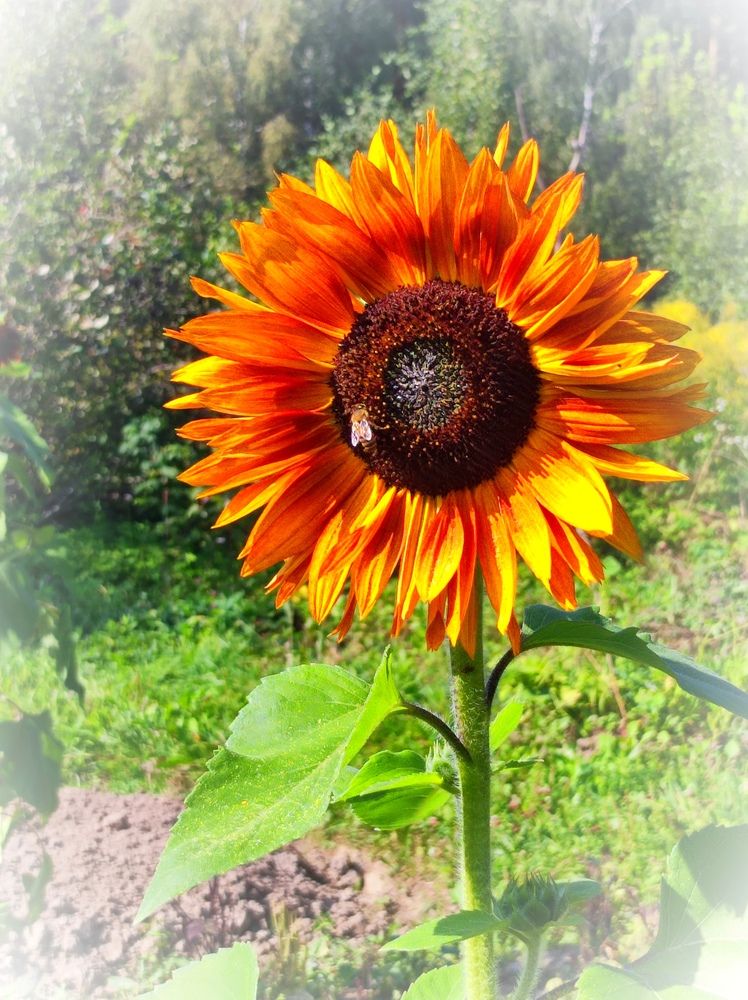 Фотография автора Рузинова Елена