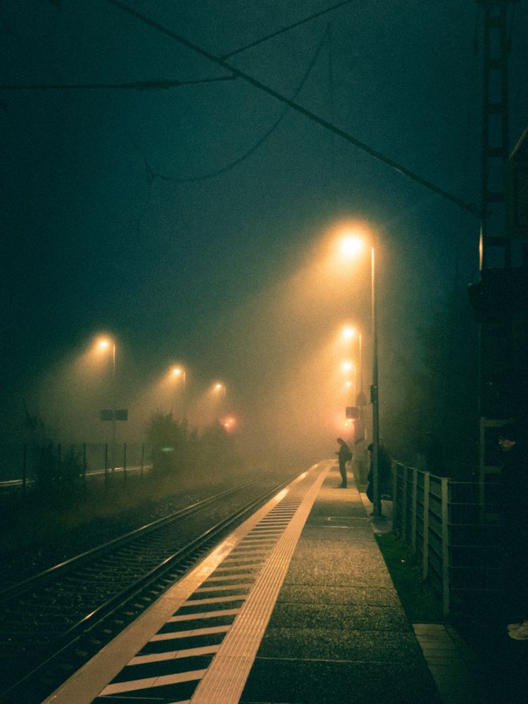 Photograph by Александр Мороз