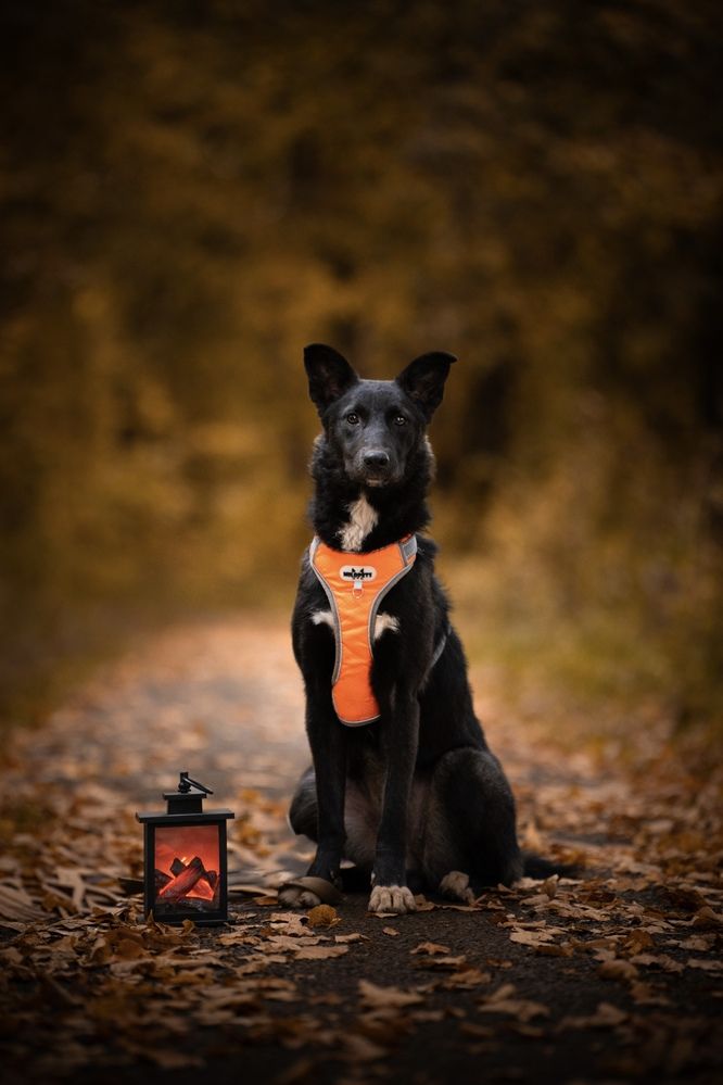 Photograph by Илья Антипов