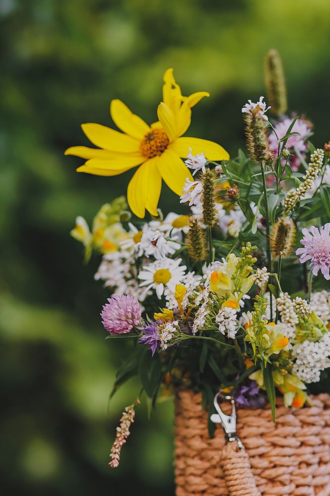 Photograph by Анна Ушакова