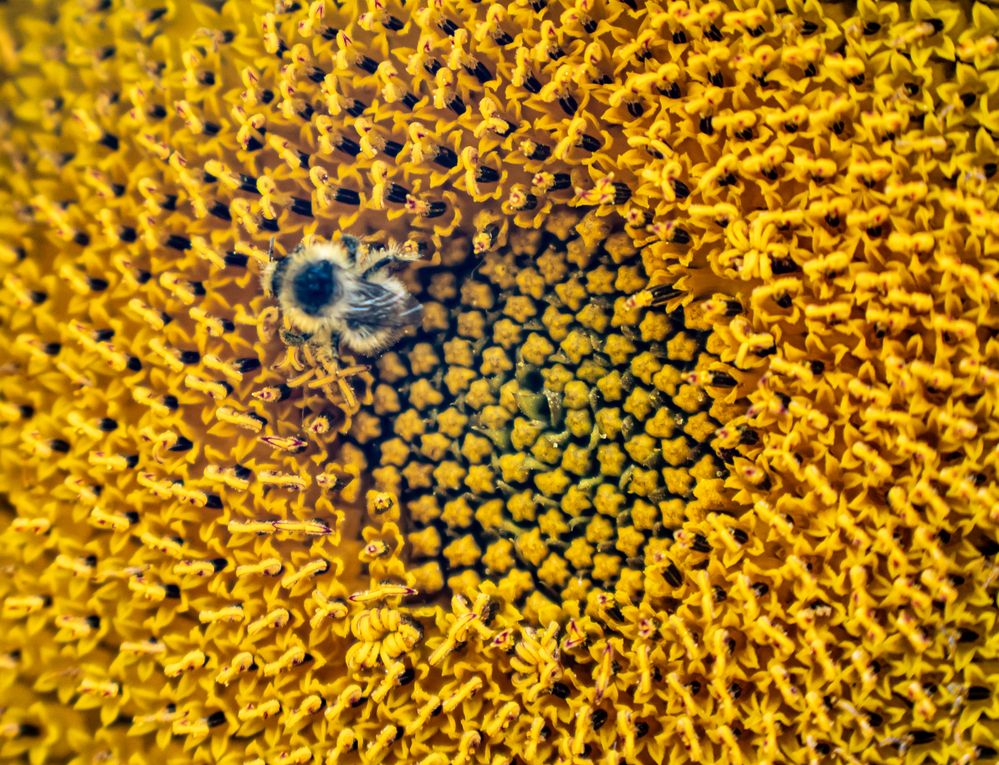 Фотография автора Николай Нестеренко