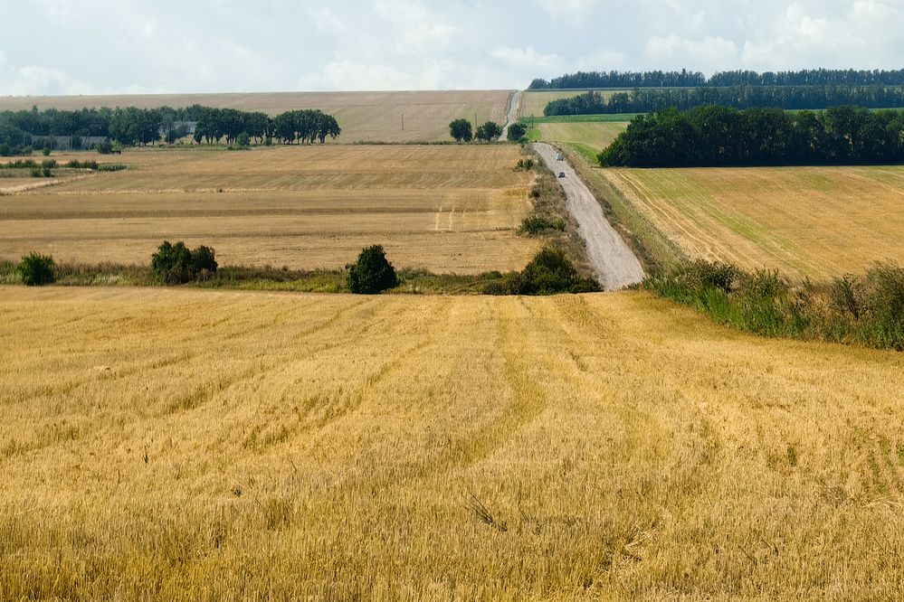 Photograph by Igor Maksimenko