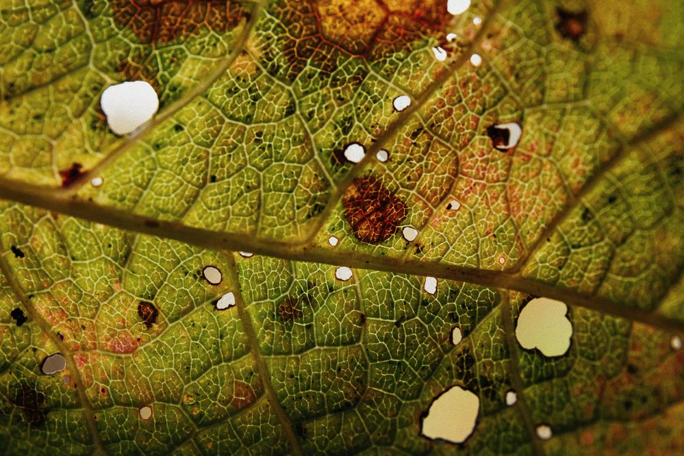 Photograph by Виктор Гагарин