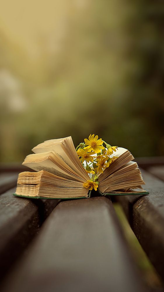 Photograph by Валерия Дорогова