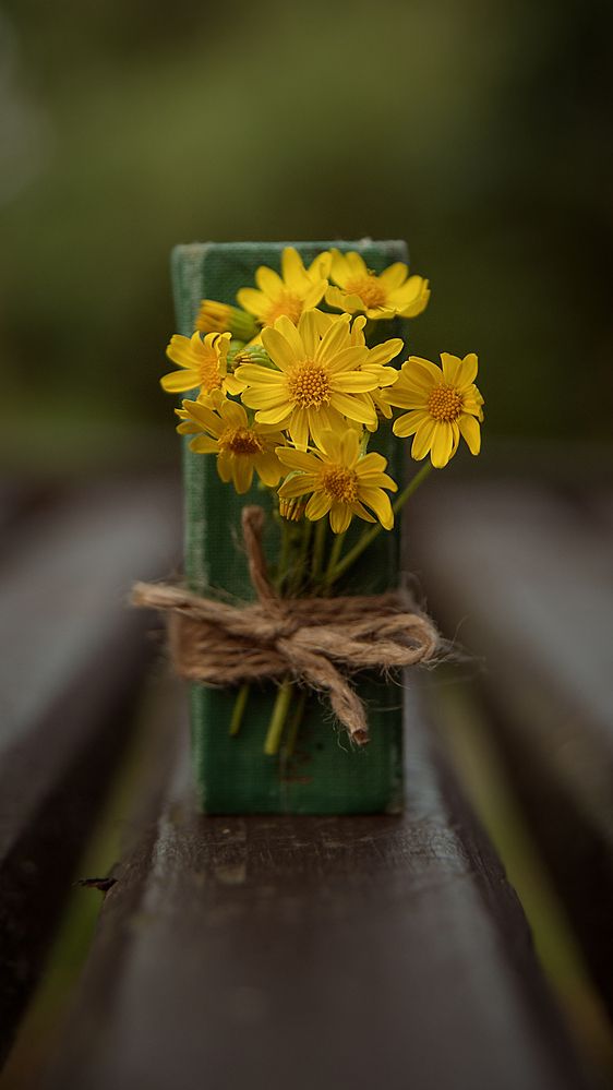 Photograph by Валерия Дорогова