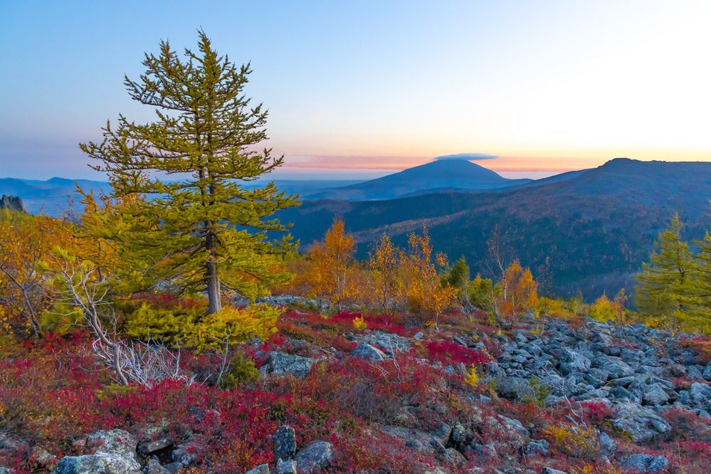 Photograph by Алексей Путилов