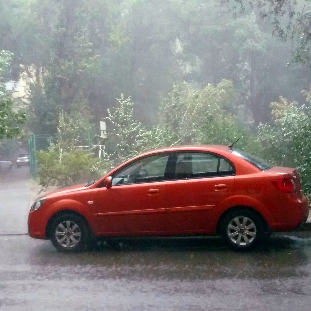 Photograph by Васильева Львовна