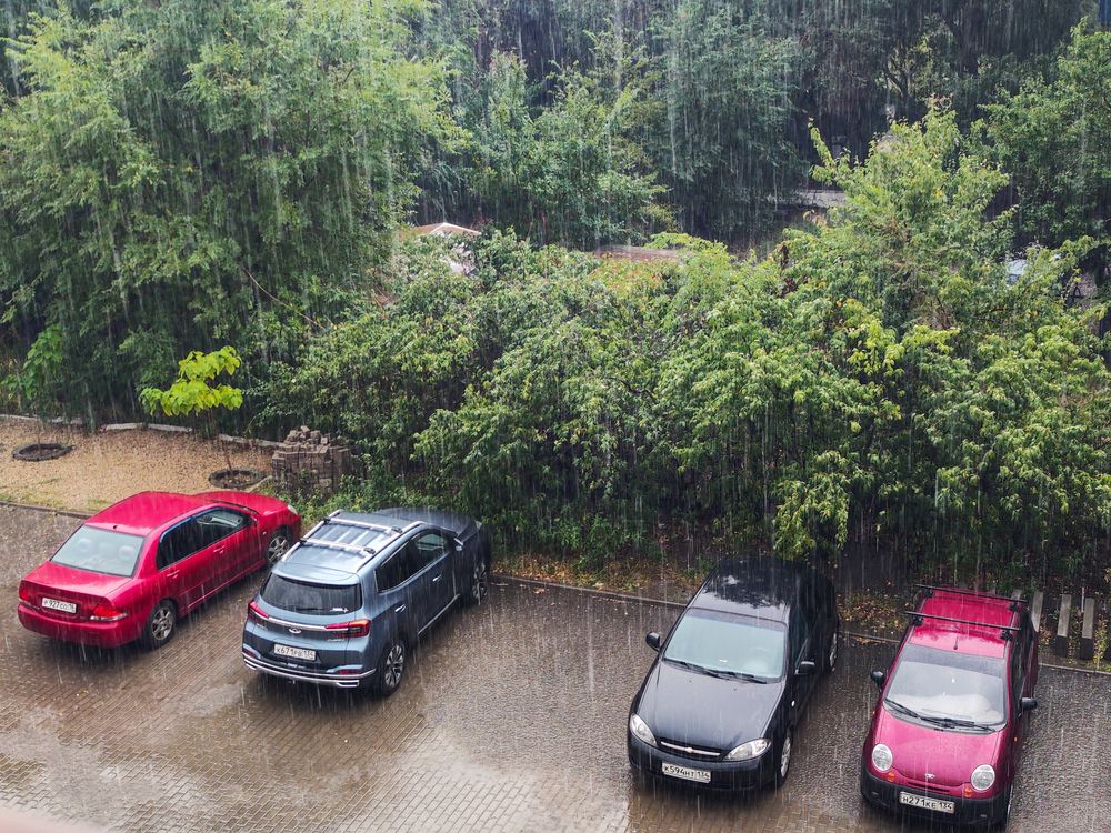 Photograph by Ирина Шибитова