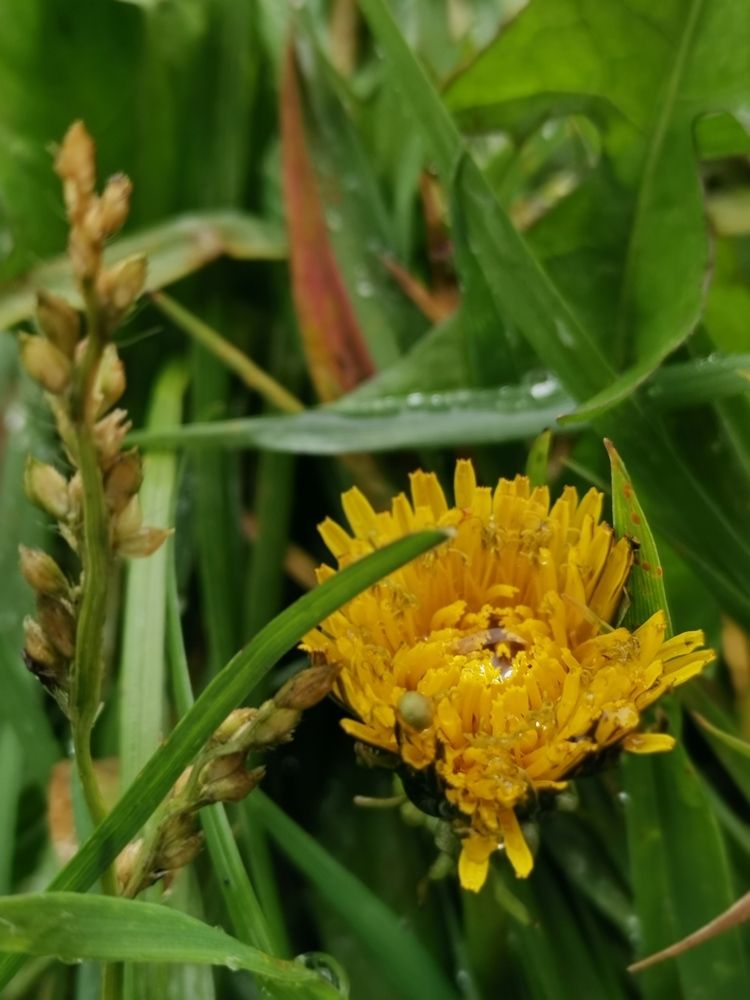 Photograph by Любовь Лунина