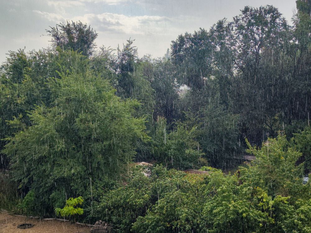 Photograph by Ирина Шибитова