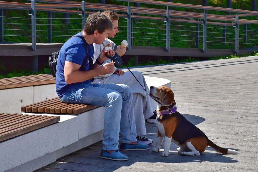 Photograph by Нина Кольман