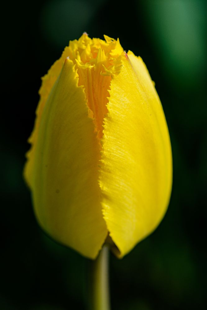 Photograph by Елена Берсенёва