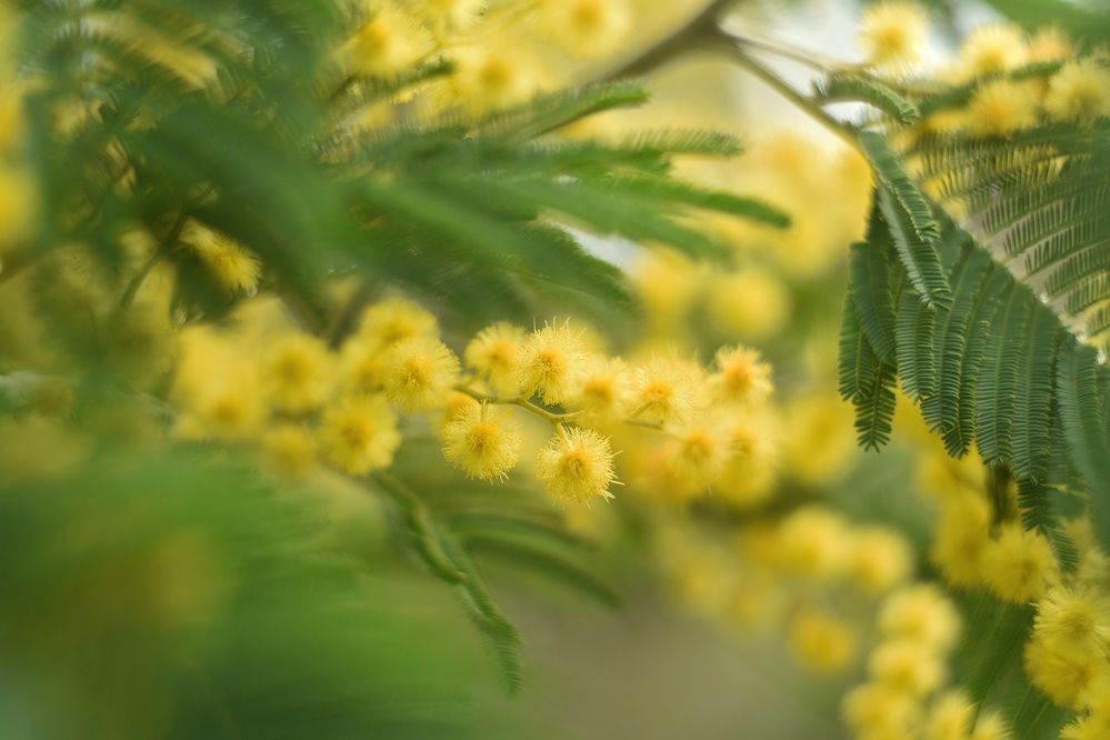 Photograph by Ольга Гоглова