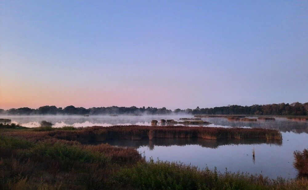 Фотография автора Елена Пикатова