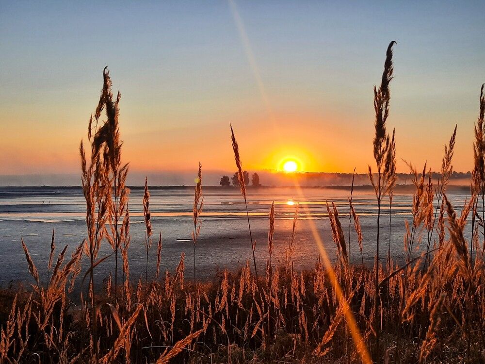 Photograph by Елена Пикатова