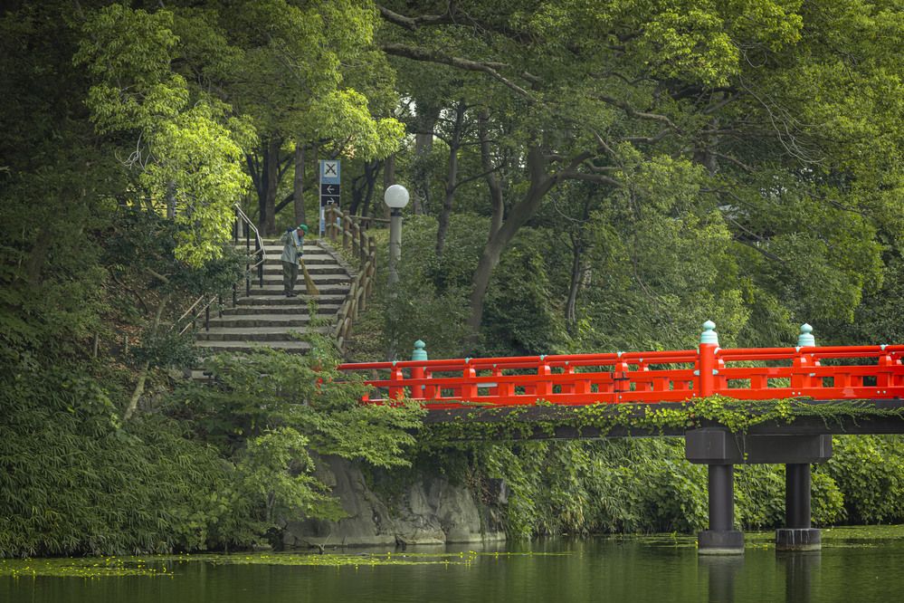 Photograph by Максим Григорьев