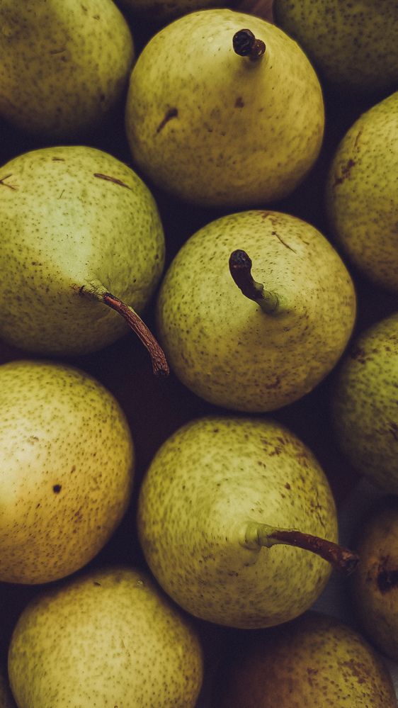 Фотография автора Ирина Романовская