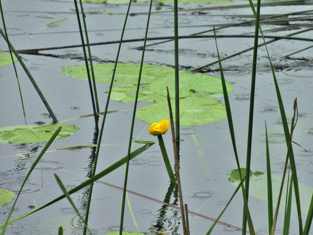 Photograph by Виктор Карпухин