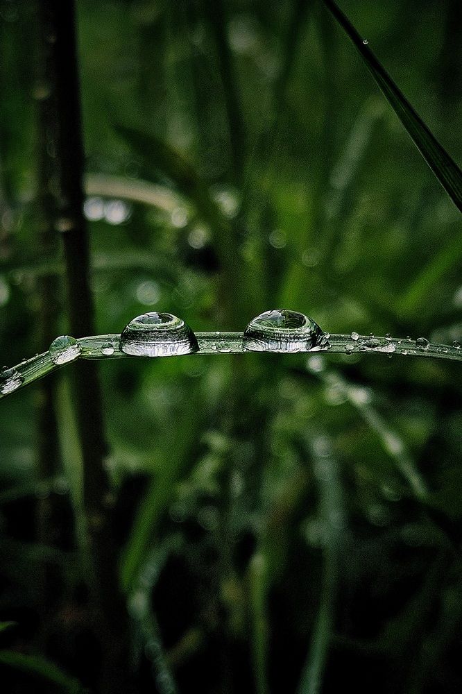 Photograph by Ирина
