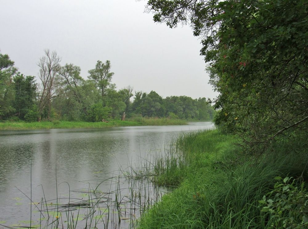 Photograph by Виктор Карпухин