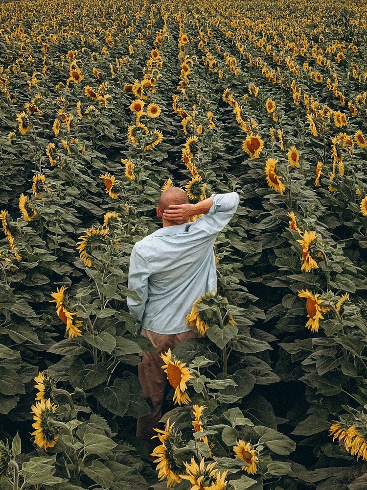 Фотография автора Ирина Романовская