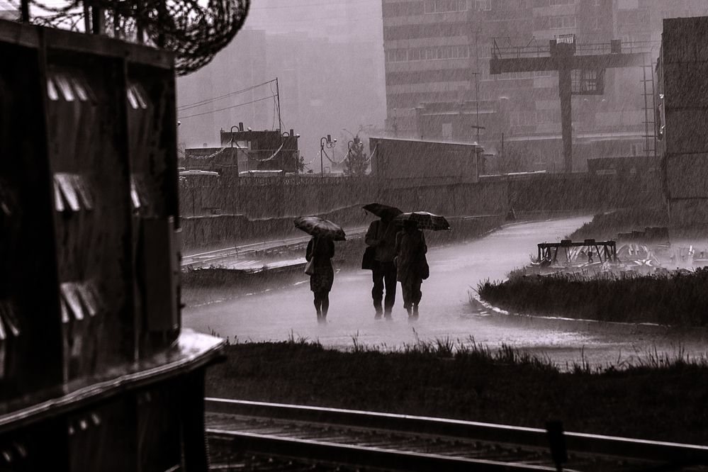 Photograph by Сергей Немчинов