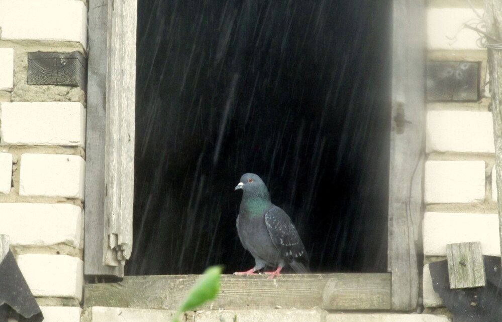 Photograph by Татьяна Смирнова