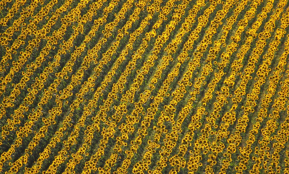 Photograph by Виктор Карпухин