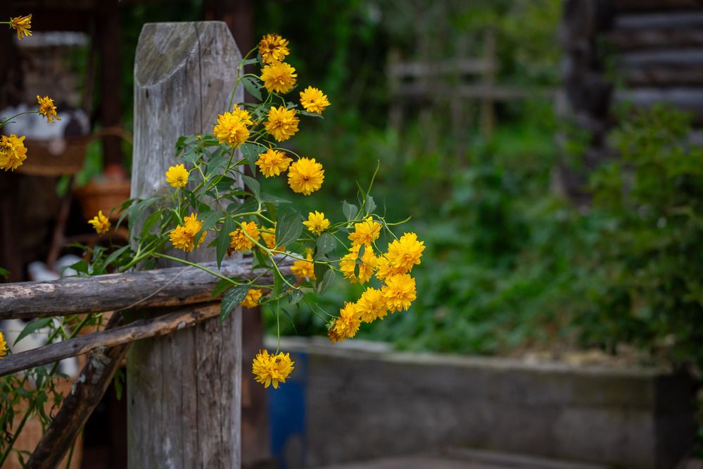 Photograph by Очева Наталья Александровна