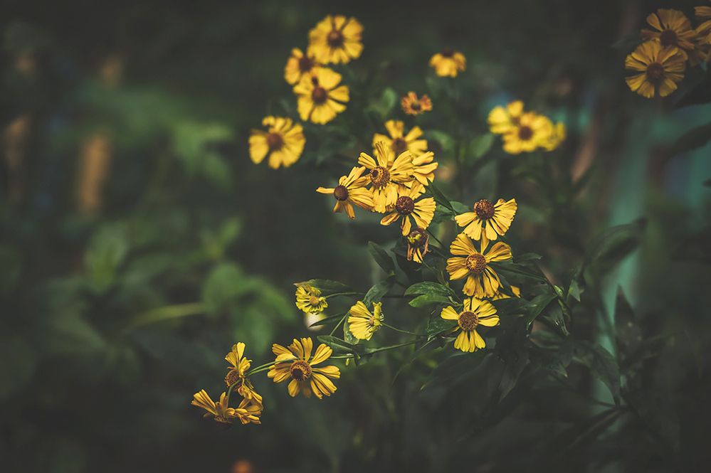 Photograph by Мария Новоселецкая