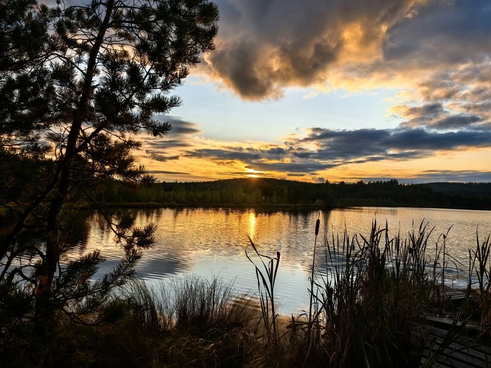 Photograph by Александра Шишулина