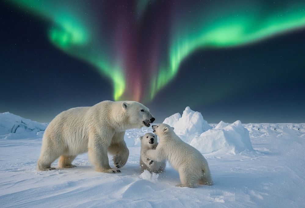 Фотография автора Dmitry Grunin