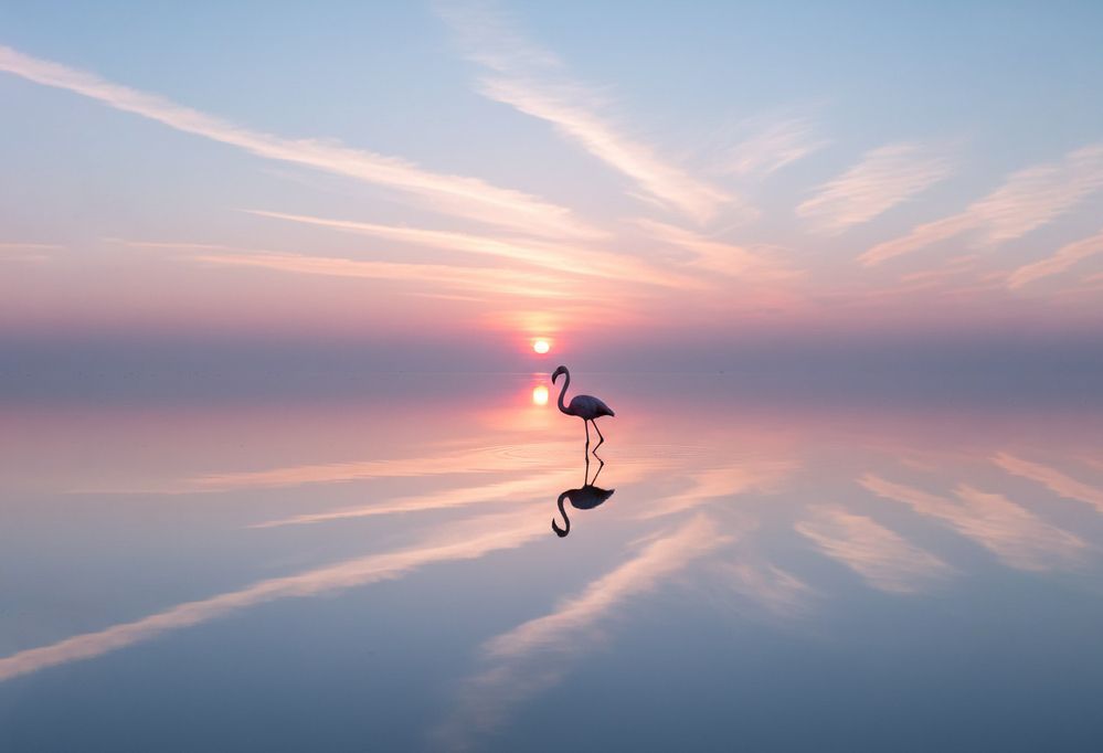 Photograph by Dmitry Grunin