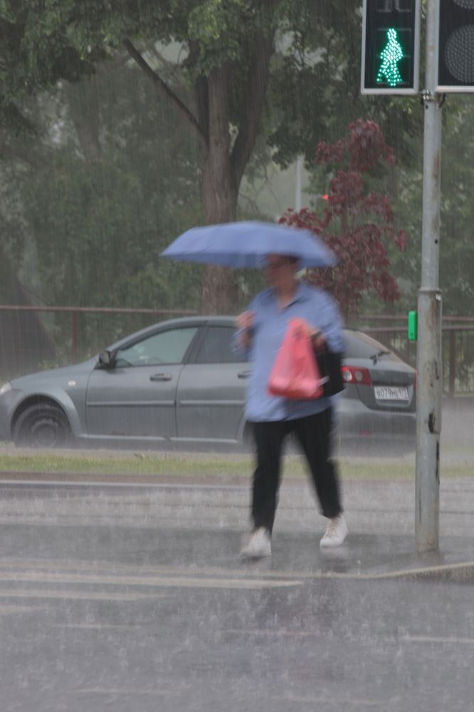 Идут. Дождь и пешеход на переходе.