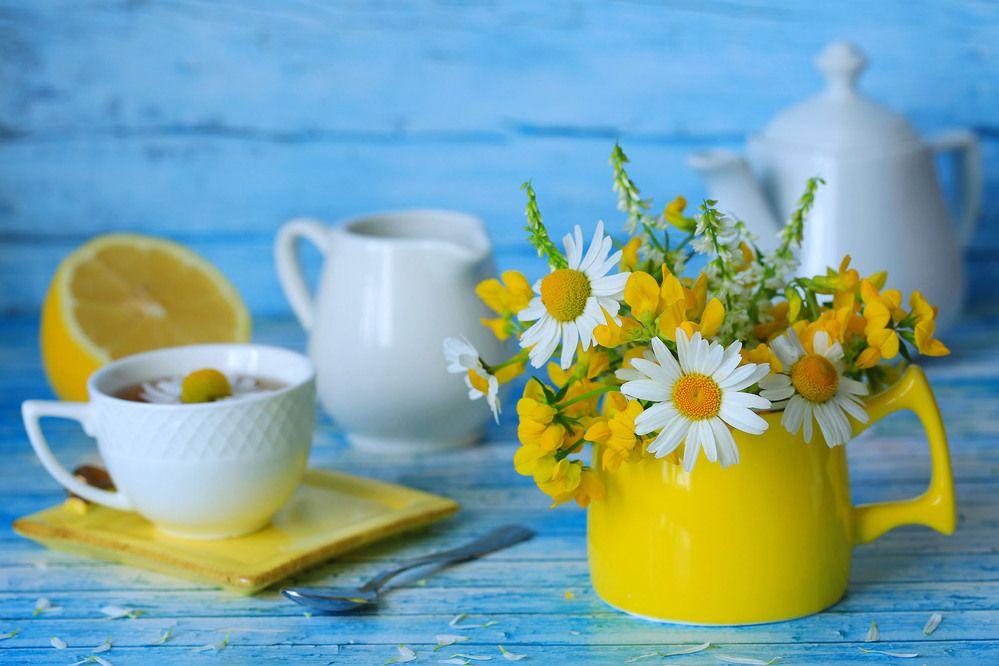 Фотография автора Галина Лоскутова